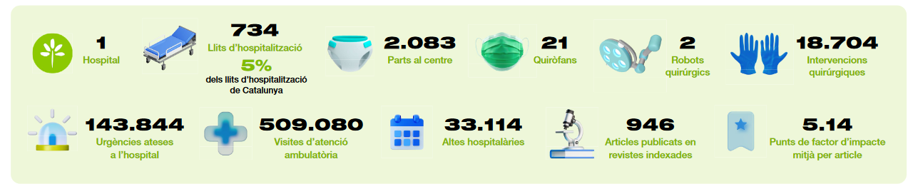 infografia de datos de actividad del hospital